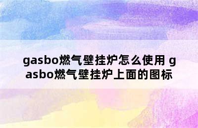 gasbo燃气壁挂炉怎么使用 gasbo燃气壁挂炉上面的图标